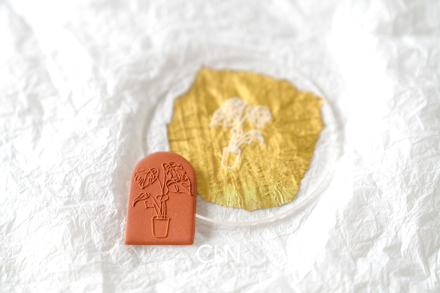 Monstera Plant - Acrylic texture - CLN Atelier