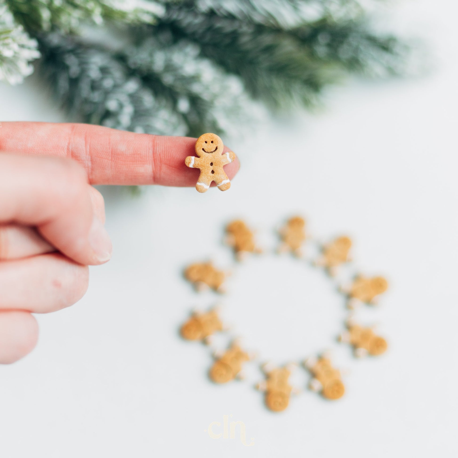 Gingerbread stud - Earrings - CLN Atelier